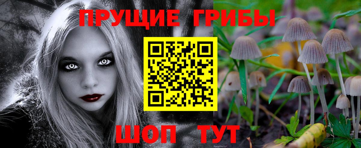 Псилоцибиновые грибы Cubensis  Вход с VPN  Топки  Псилоцибиновые грибы Psilocybe 